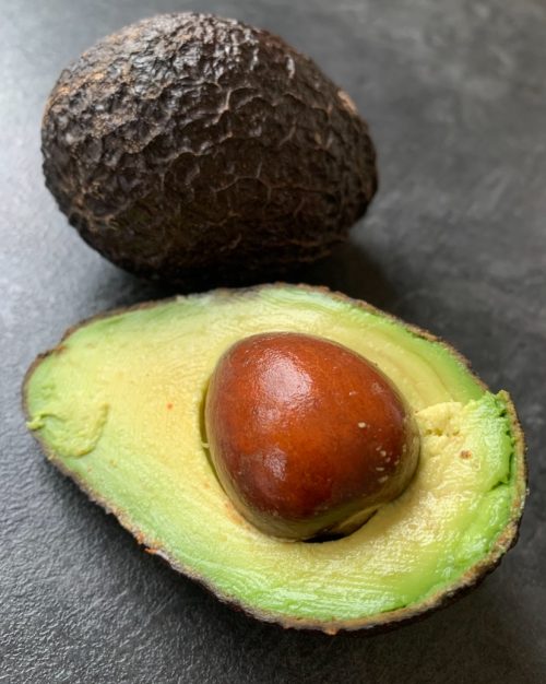 Aguacate asturiano*