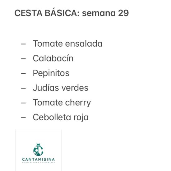 CESTA BÁSICA