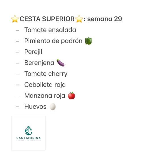 CESTA SUPERIOR