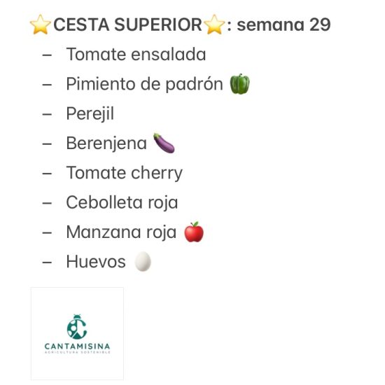 CESTA SUPERIOR