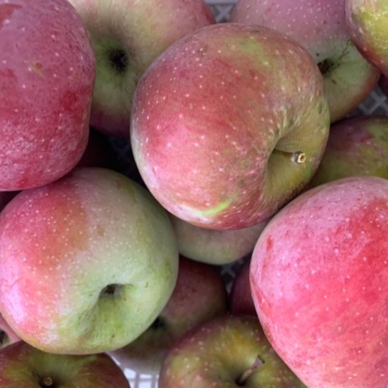 Manzana roja